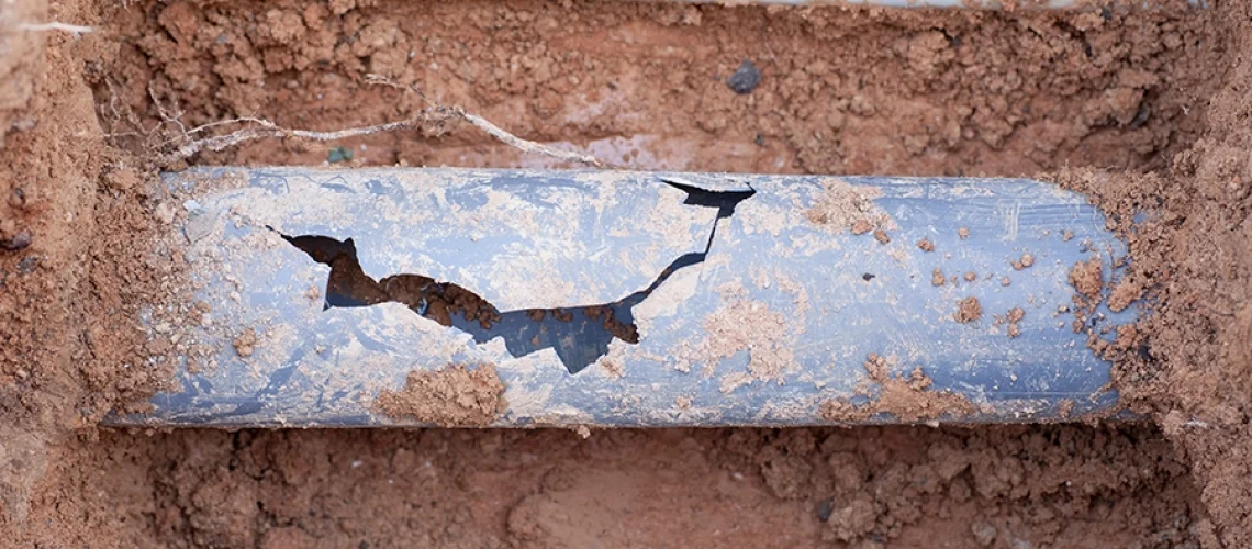 Cracked sewer line on the property of an O'Fallon, IL resident.